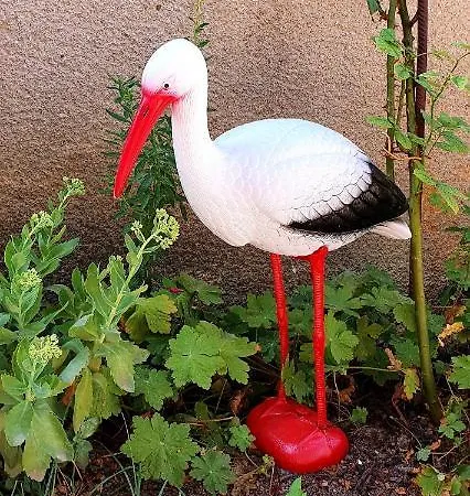 Casa Eduard Rum i privatbostad Eforie Sud (Constanta)